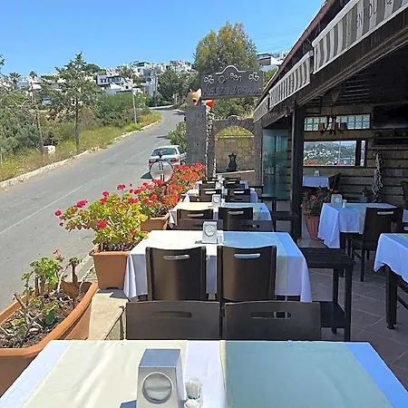 Hotel Queen Boutique Gümbet